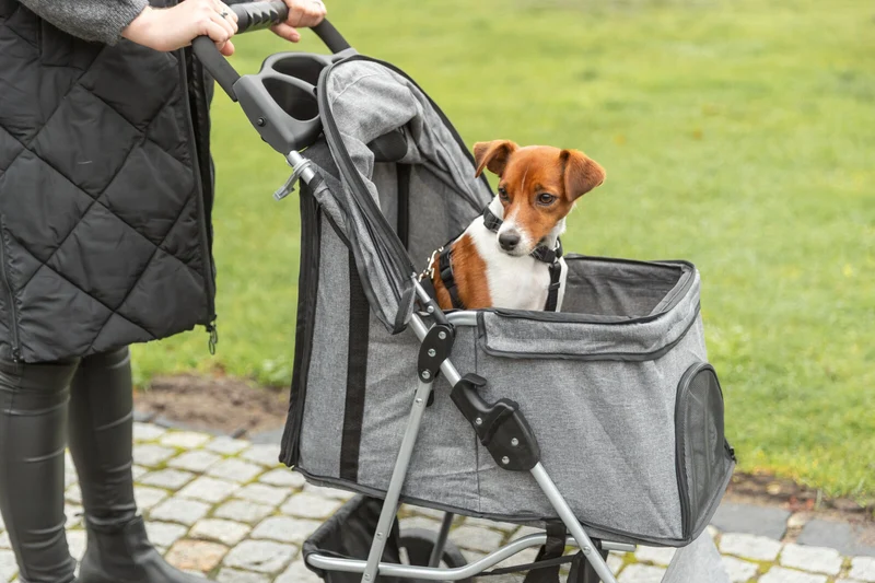 Buggy mit 4 Rädern für Hunde bis 15 kg