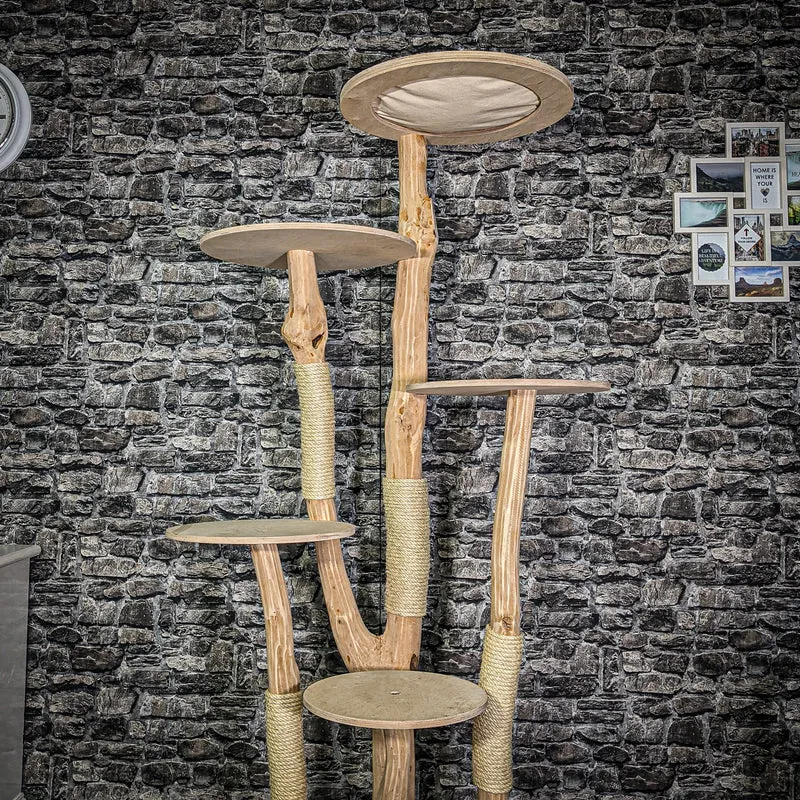 Naturkratzbaum 3213 Kratzbaum Natur Holz Design 195 cm hoch Katzenbaum