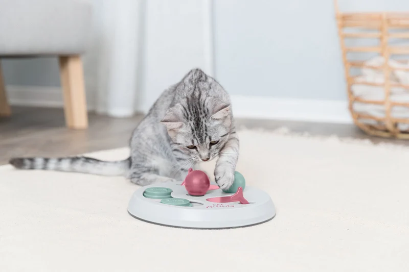 Flip Board Katzenstrategiespiel zum Befüllen mit Snacks