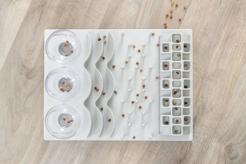 Intelligenzspiel "Fun Board XXL" mit 5 Spielmodulen für große Katzen