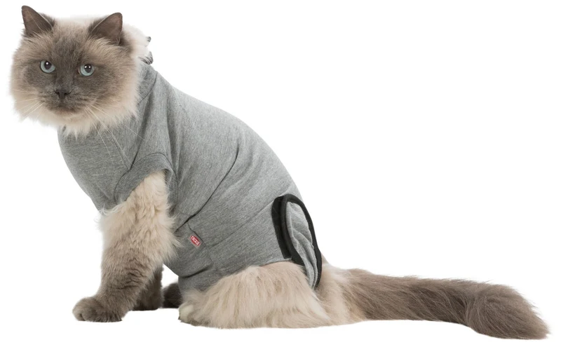OP-Body für Katzen