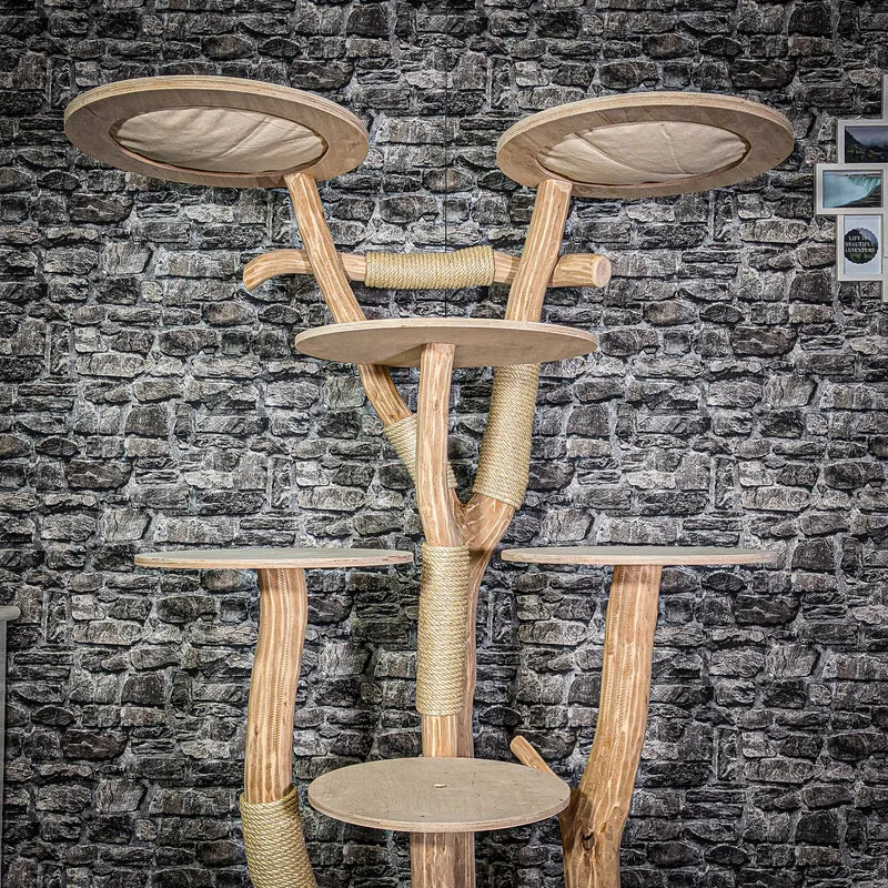 Naturkratzbaum 3126 Kratzbaum Natur Holz Design 176 cm hoch Katzenbaum