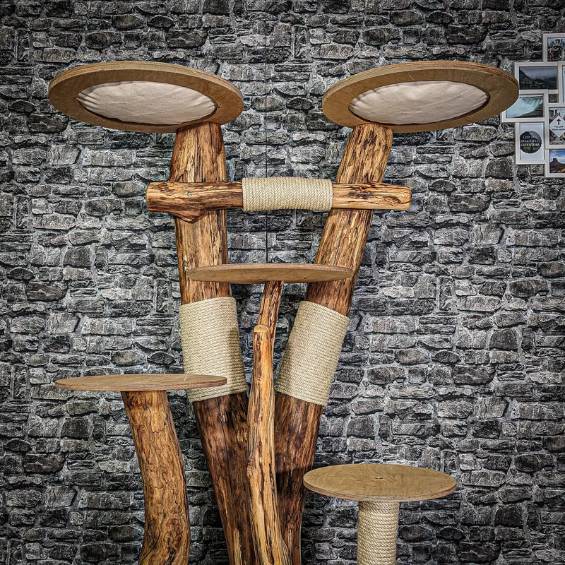 Naturkratzbaum 3123 Kratzbaum Natur Holz Design 164 cm hoch Katzenbaum