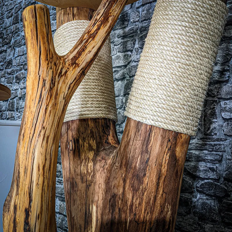 Naturkratzbaum 3123 Kratzbaum Natur Holz Design 164 cm hoch Katzenbaum