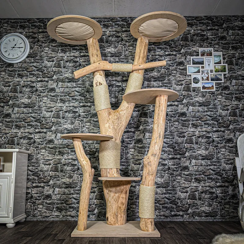 Naturkratzbaum 3112 Kratzbaum Natur Holz Design 203 cm hoch Katzenbaum