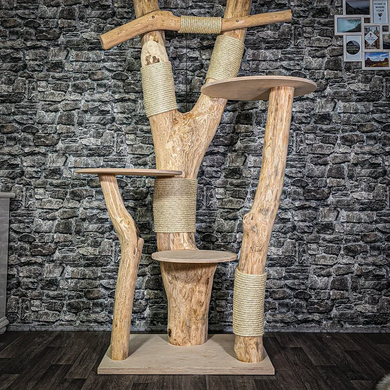 Naturkratzbaum 3112 Kratzbaum Natur Holz Design 203 cm hoch Katzenbaum