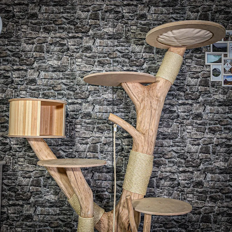 Naturkratzbaum 3110 Kratzbaum Natur Holz Design 180 cm hoch Katzenbaum