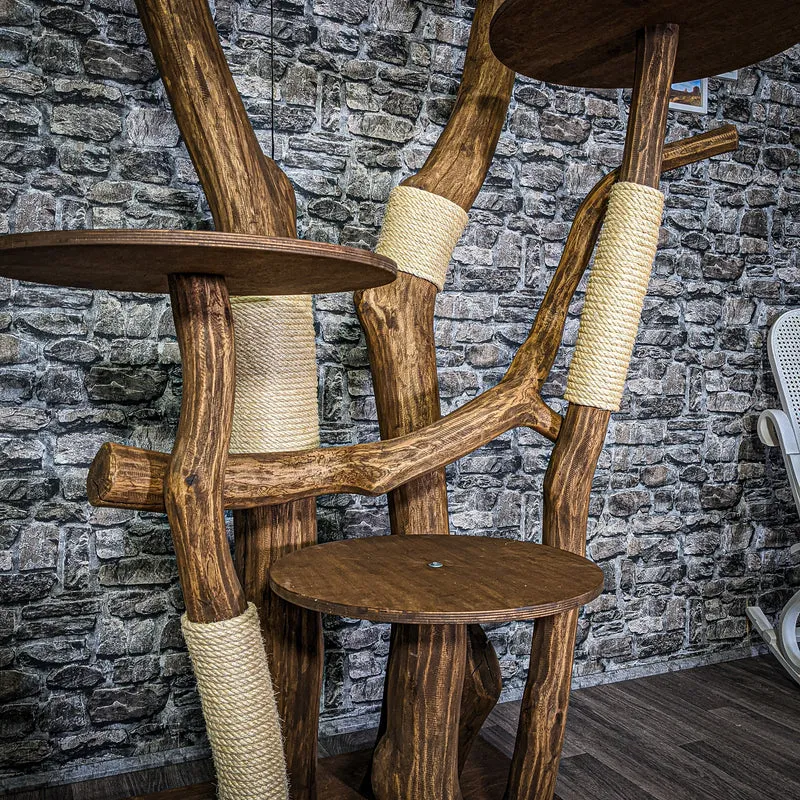 Outdoor Naturkratzbaum 3103 Kratzbaum Natur Holz Design 205 cm hoch Katzenbaum
