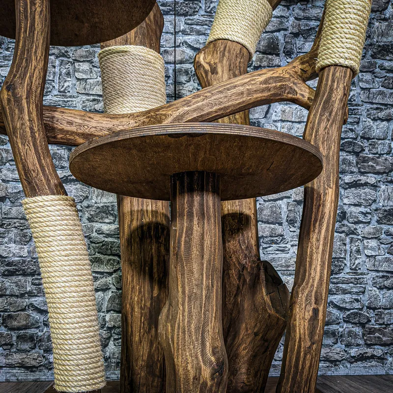 Outdoor Naturkratzbaum 3103 Kratzbaum Natur Holz Design 205 cm hoch Katzenbaum