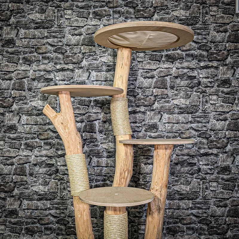Naturkratzbaum 3106 Kratzbaum Natur Holz Design 145 cm hoch Katzenbaum