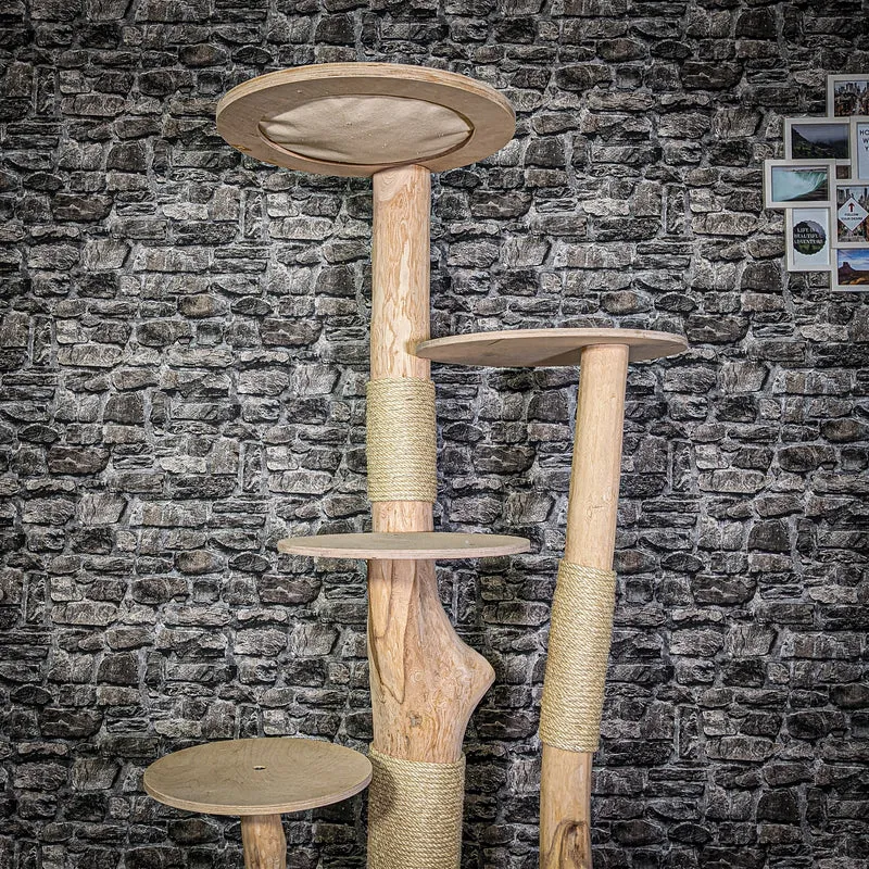 Naturkratzbaum 3105 Kratzbaum Natur Holz Design 176 cm hoch Katzenbaum
