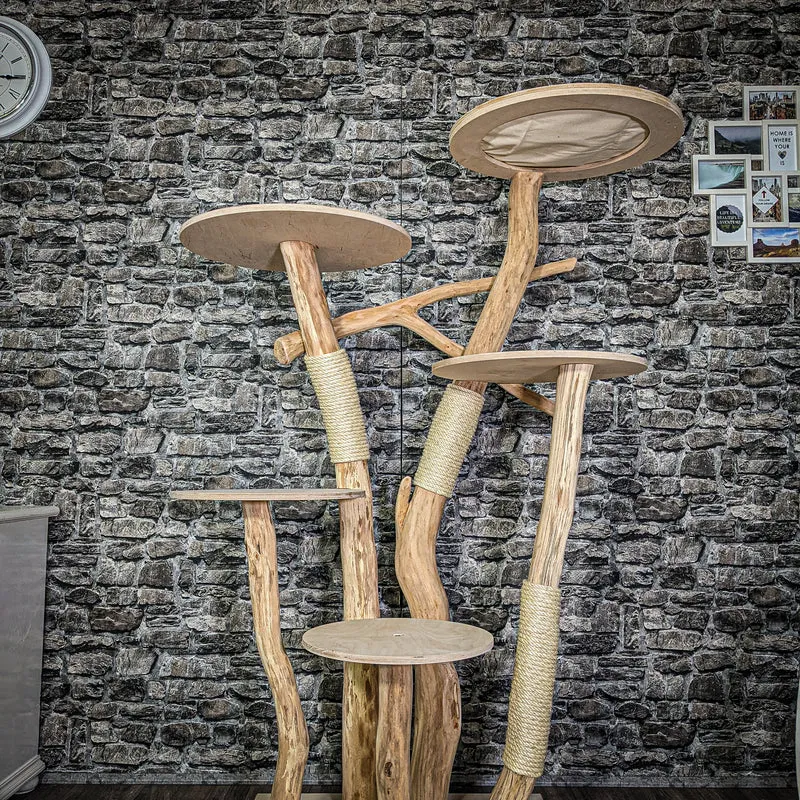 Naturkratzbaum 3098 Kratzbaum Natur Holz Design 174 cm hoch Katzenbaum