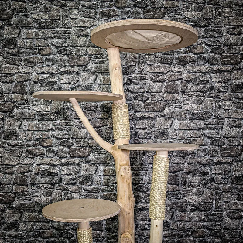 Naturkratzbaum 3096 Kratzbaum Natur Holz Design 145 cm hoch Katzenbaum