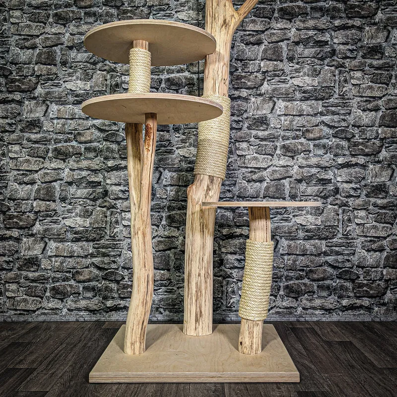 Naturkratzbaum 3094 Kratzbaum Natur Holz Design 144 cm hoch Katzenbaum
