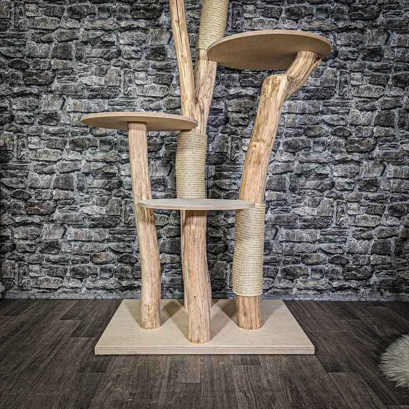 Naturkratzbaum 3082 Kratzbaum Natur Holz Design 175 cm hoch Katzenbaum