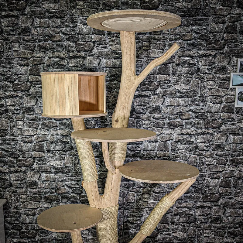 Naturkratzbaum 3079 Kratzbaum Natur Holz Design 220 cm hoch Katzenbaum