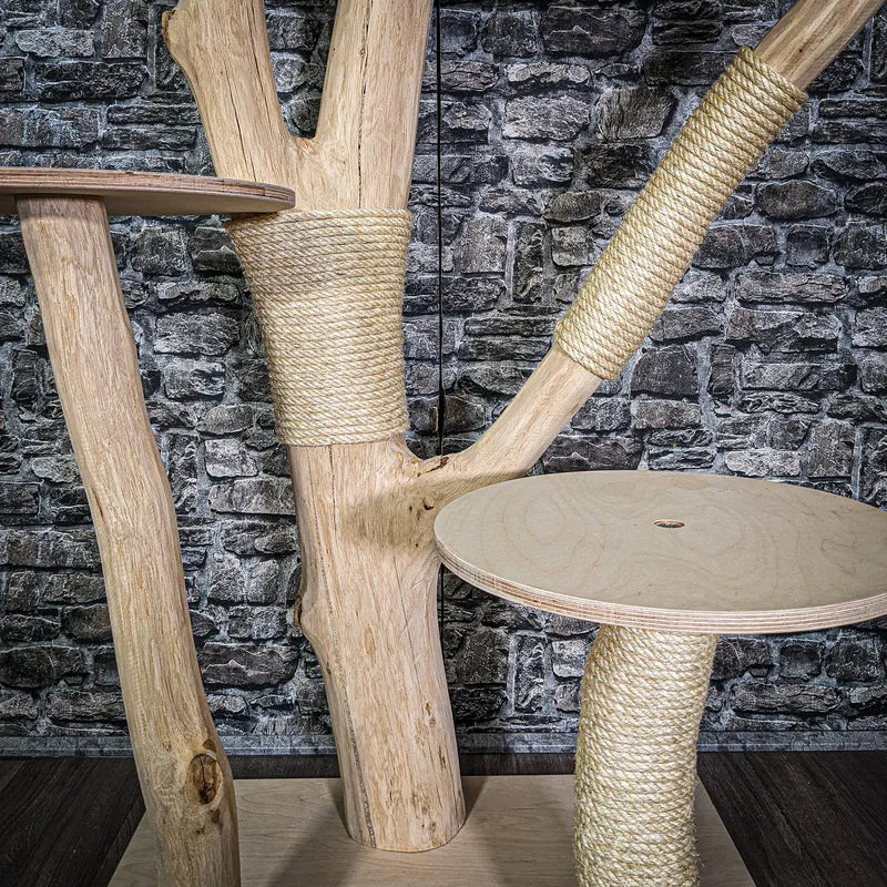 Naturkratzbaum 3079 Kratzbaum Natur Holz Design 220 cm hoch Katzenbaum