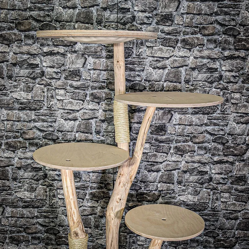 Naturkratzbaum 3065 Kratzbaum Natur Holz Design 145 cm hoch Katzenbaum