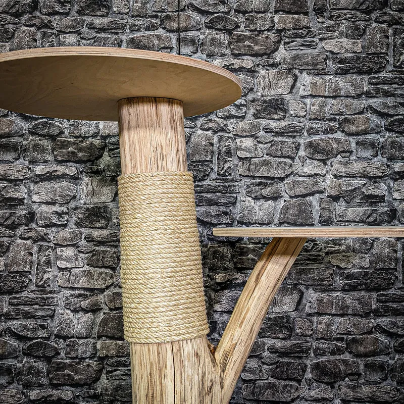 Naturkratzbaum 3062 Kratzbaum Natur Holz Design 85 cm hoch Katzenbaum