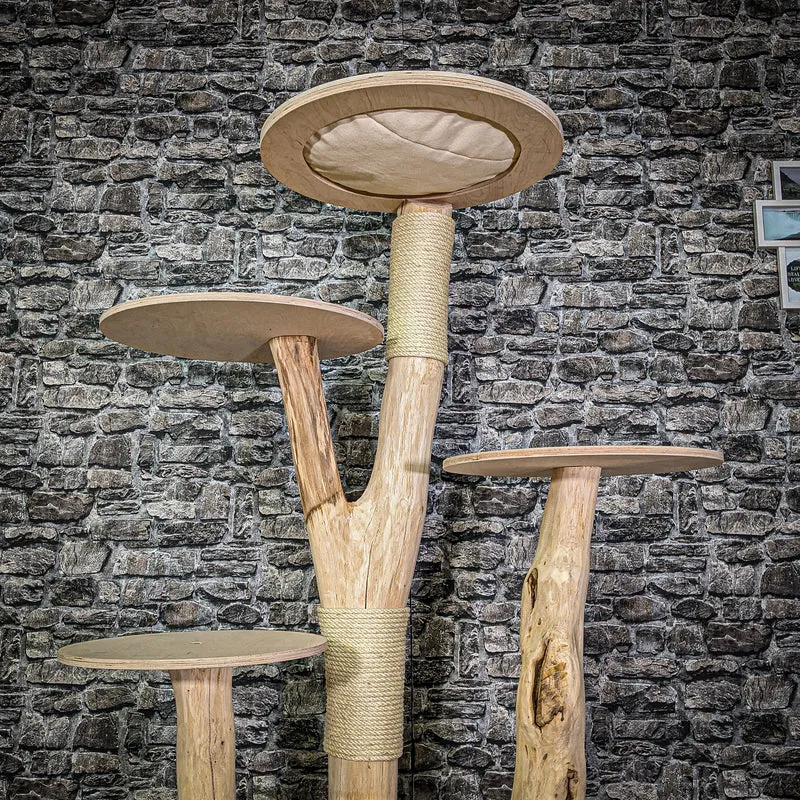Naturkratzbaum 3048 Kratzbaum Natur Holz Design 176 cm hoch Katzenbaum
