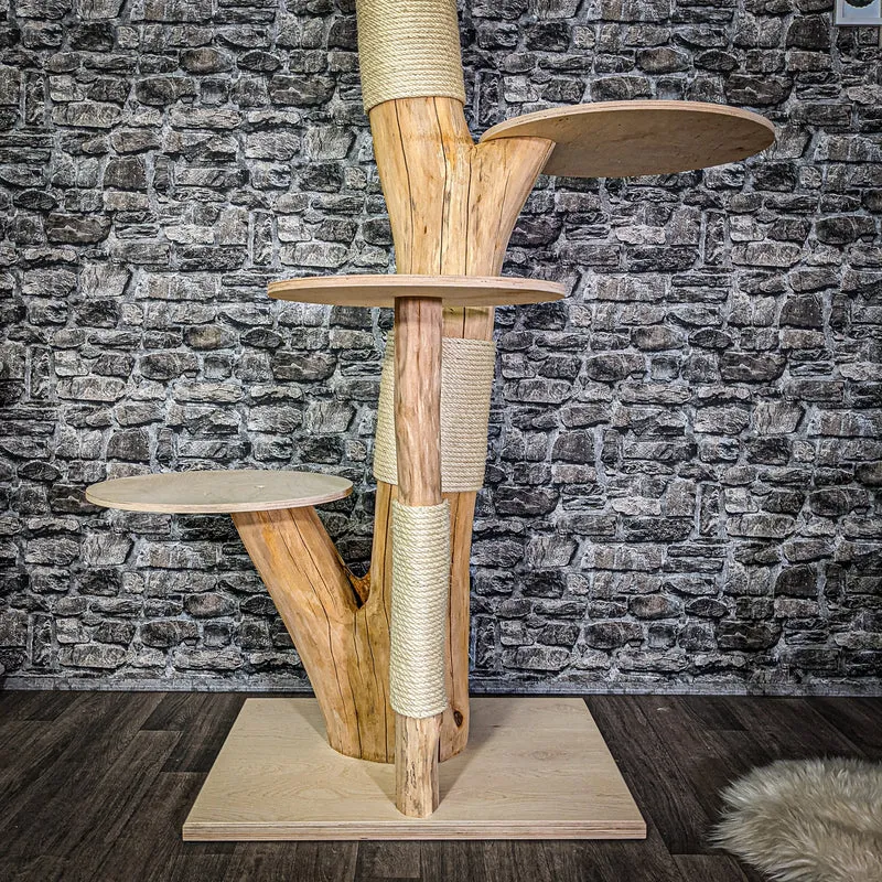 Naturkratzbaum 3039 Kratzbaum Natur Holz Design 168 cm hoch Katzenbaum