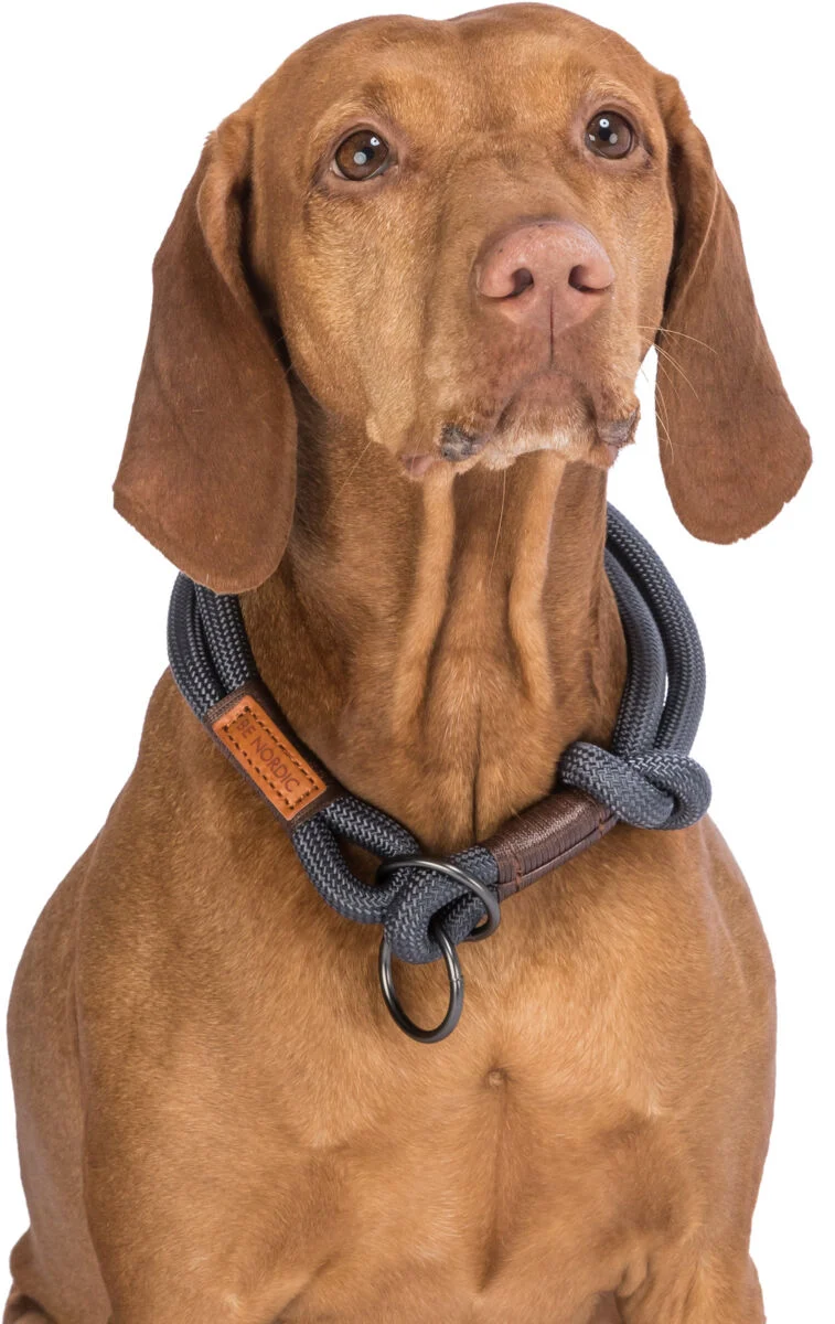 BE NORDIC Zug-Stopp-Halsband