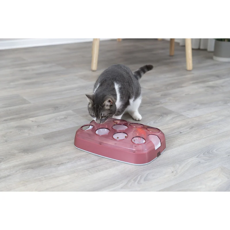 Cat Activity Soccer Katzenstrategiespiel