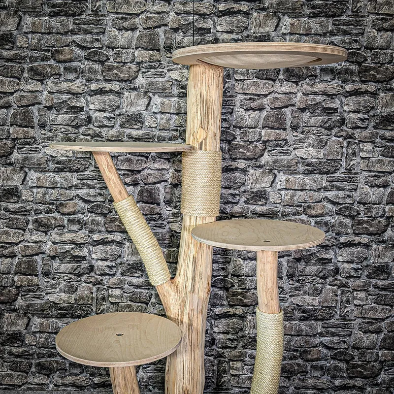 Naturkratzbaum 2983 Kratzbaum Natur Holz Design 144 cm hoch Katzenbaum