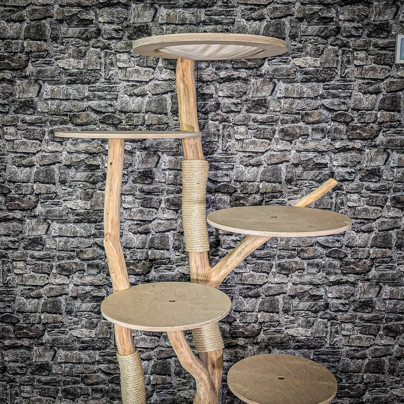 Naturkratzbaum 2978 Kratzbaum Natur Holz Design 176 cm hoch Katzenbaum