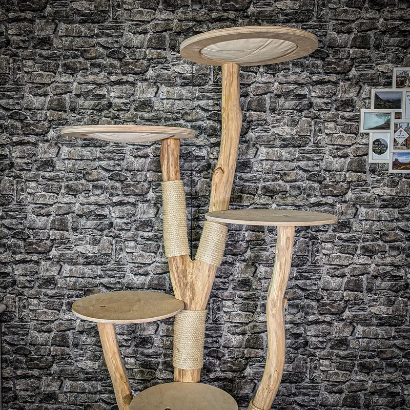 Naturkratzbaum 2969 Kratzbaum Natur Holz Design 205 cm hoch Katzenbaum