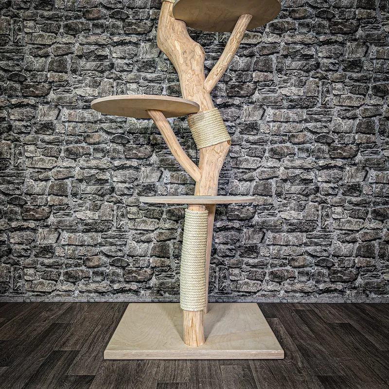 Naturkratzbaum 2966 Kratzbaum Natur Holz Design 170 cm hoch Katzenbaum
