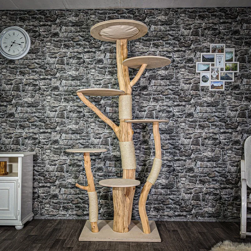 Naturkratzbaum 2954 Kratzbaum Natur Holz Design 205 cm hoch Katzenbaum