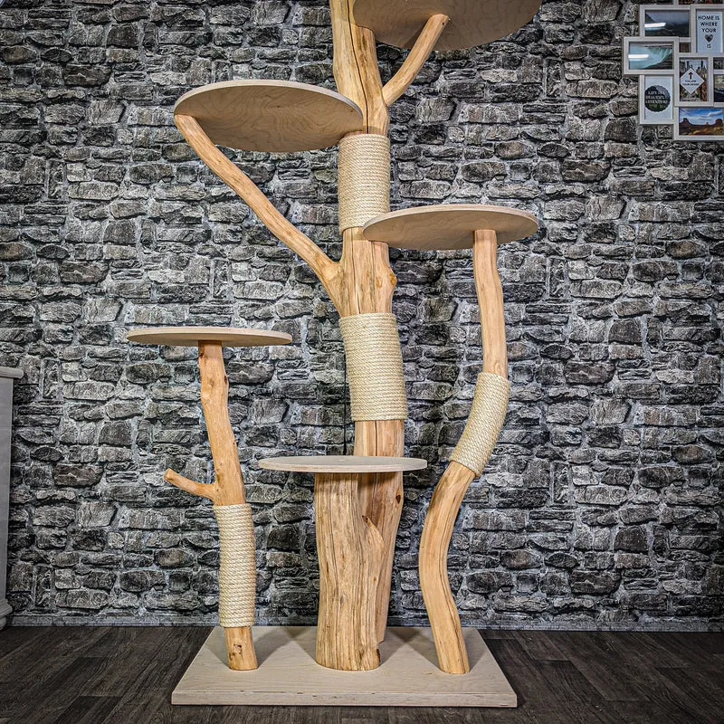 Naturkratzbaum 2954 Kratzbaum Natur Holz Design 205 cm hoch Katzenbaum