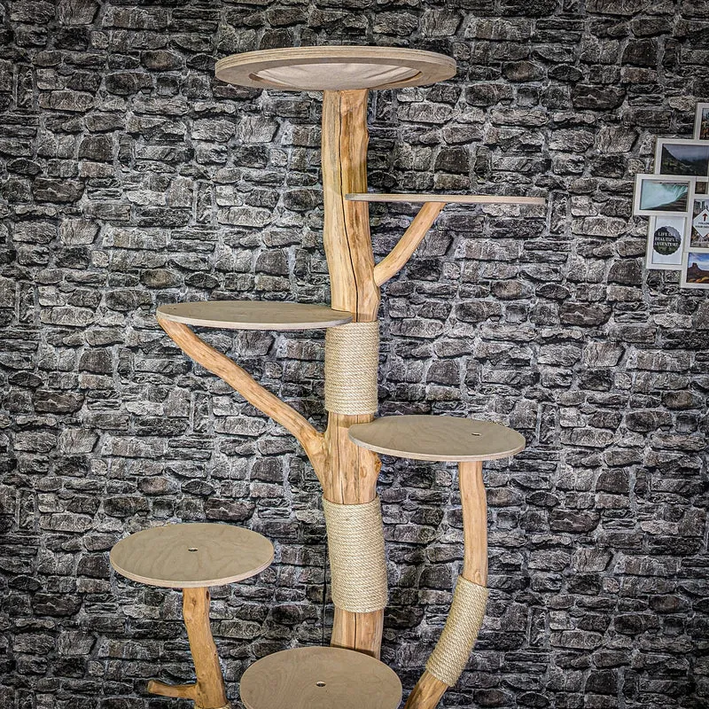 Naturkratzbaum 2954 Kratzbaum Natur Holz Design 205 cm hoch Katzenbaum