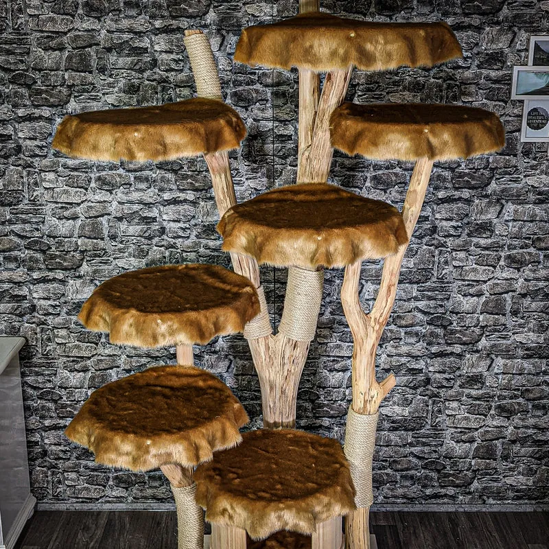 Naturkratzbaum 2952 Kratzbaum Natur Holz Design 228 cm hoch Katzenbaum
