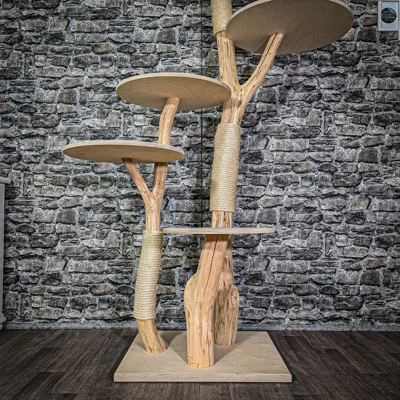 Naturkratzbaum 2951 Kratzbaum Natur Holz Design 172 cm hoch Katzenbaum