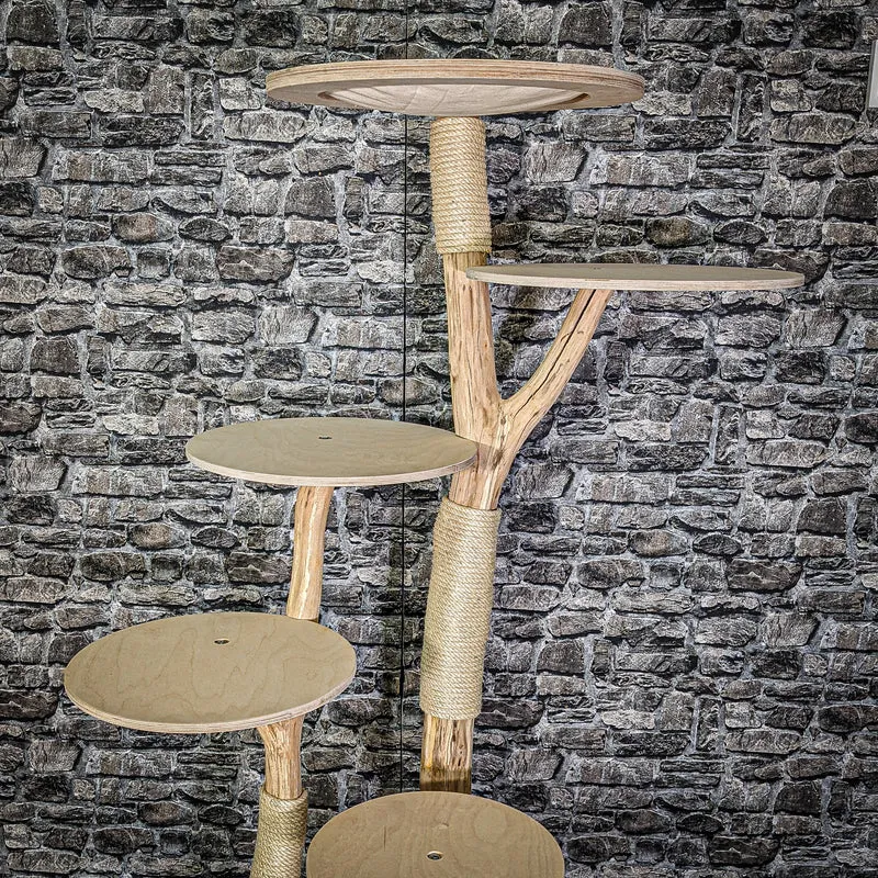 Naturkratzbaum 2951 Kratzbaum Natur Holz Design 172 cm hoch Katzenbaum