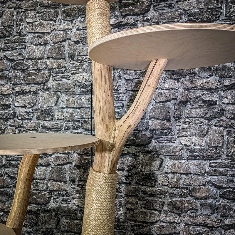 Naturkratzbaum 2951 Kratzbaum Natur Holz Design 172 cm hoch Katzenbaum