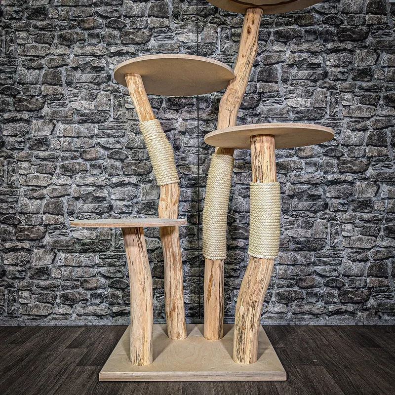 Naturkratzbaum 3013 Kratzbaum Natur Holz Design 144 cm hoch Katzenbaum