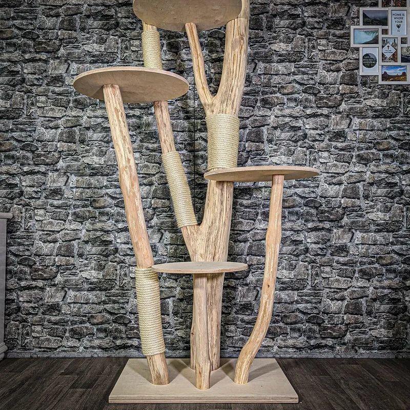 Naturkratzbaum 3005 Kratzbaum Natur Holz Design 205 cm hoch Katzenbaum