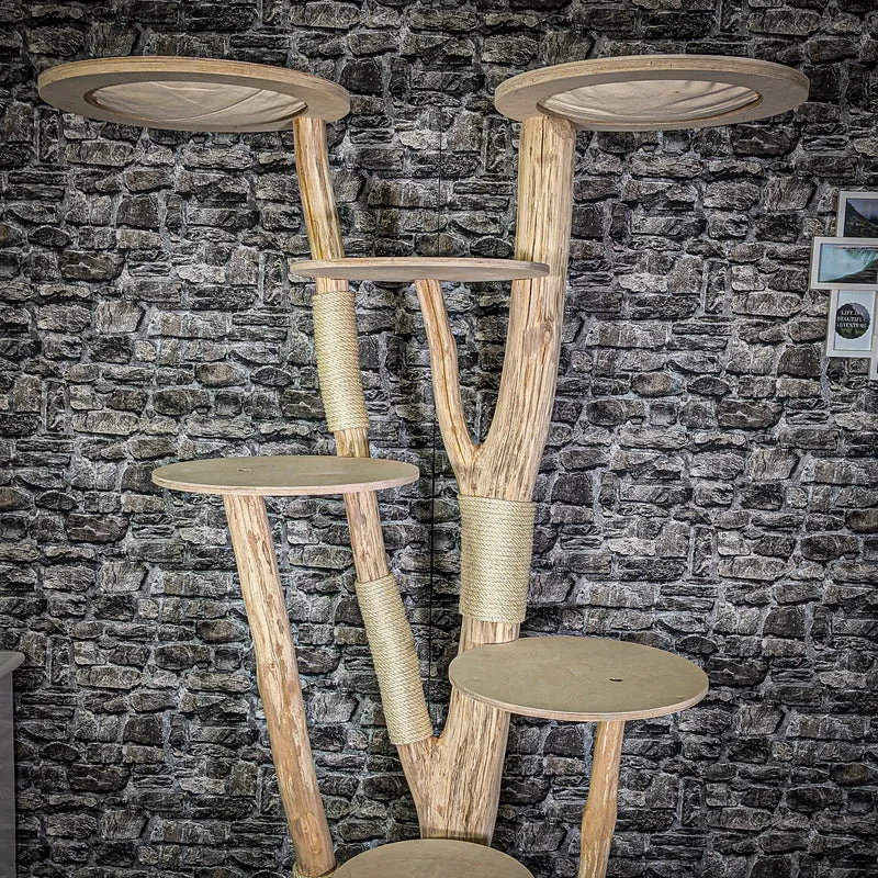 Naturkratzbaum 3005 Kratzbaum Natur Holz Design 205 cm hoch Katzenbaum