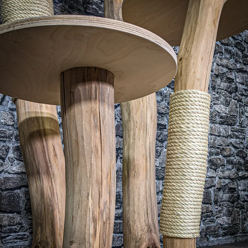 Naturkratzbaum 3003 Kratzbaum Natur Holz Design 145 cm hoch Katzenbaum
