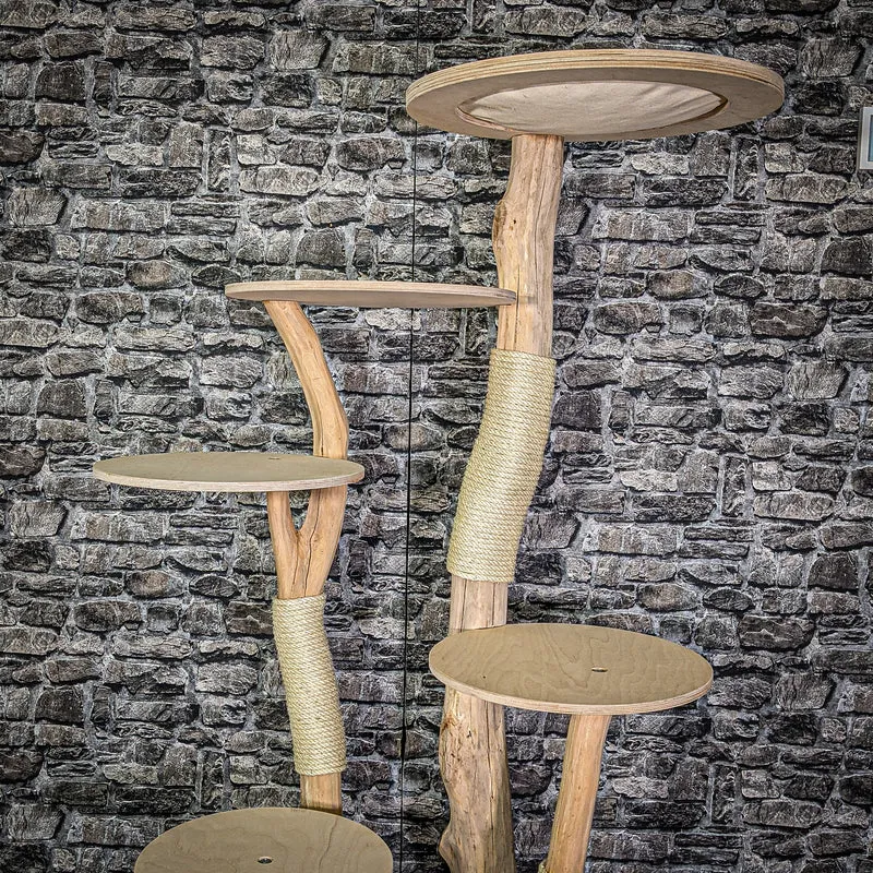 Naturkratzbaum 2999 Kratzbaum Natur Holz Design 175 cm hoch Katzenbaum