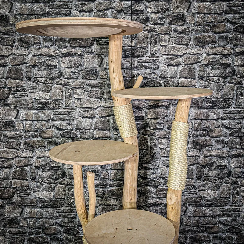 Naturkratzbaum 2998 Kratzbaum Natur Holz Design 145 cm hoch Katzenbaum