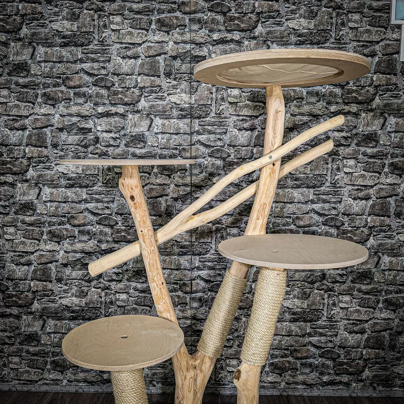Naturkratzbaum 2592 Kratzbaum Natur Holz Design 145 cm hoch