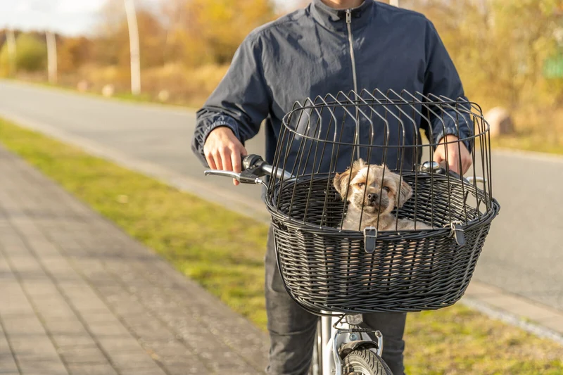 Hundefahrradkorb aus Weide zum Einhängen am Lenker, schwarz