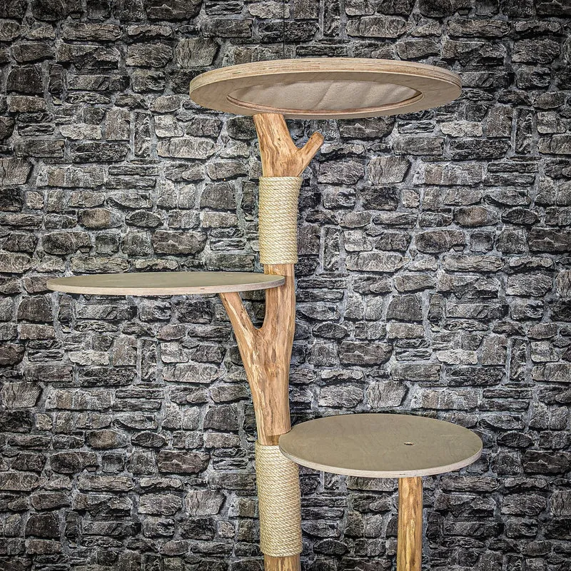 Naturkratzbaum 176 cm hoch Kratzbaum Natur Holz Design 2841 Katzenbaum