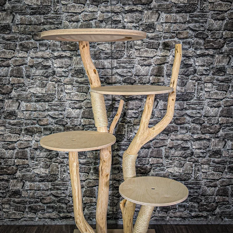 Naturkratzbaum 144 cm hoch Kratzbaum Natur Holz Design 2845 Katzenbaum