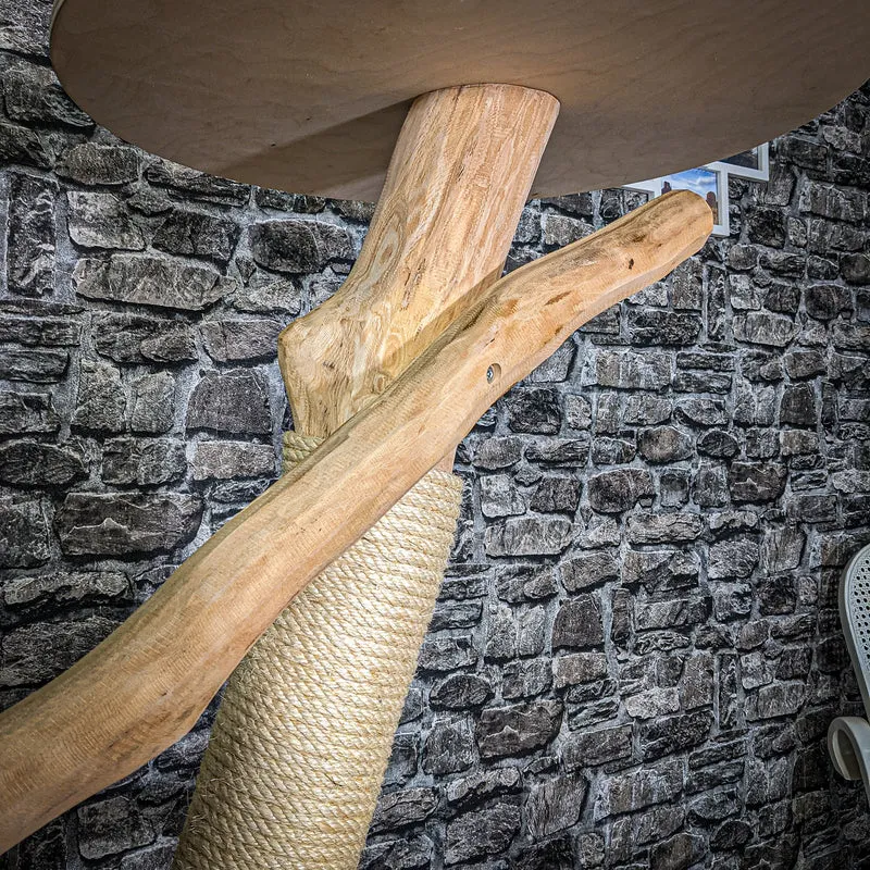 Naturkratzbaum 145 cm hoch Kratzbaum Natur Holz Design 2830 Katzenbaum