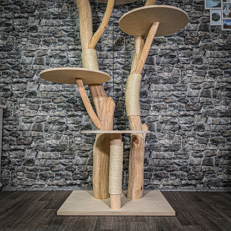 Naturkratzbaum 212 cm hoch Kratzbaum Natur Holz Design 2829 Katzenbaum